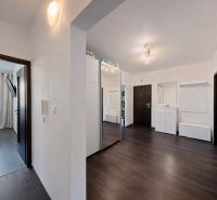 Entrance hall with a mirrored wardrobe and wooden decor flooring in a 4-room apartment.