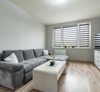 Living room with a comfortable gray sofa and a wooden-patterned floor in a two-room apartment.