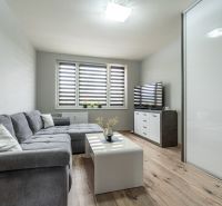 Living room in a 2-room apartment with a sofa, table, and television on a floor with a wooden decor.