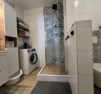 A bathroom in a 2-room apartment with a washing machine, shower, and wooden decor flooring.