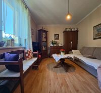 Living room in a 2-room apartment with a sofa, wooden furniture, and a floor with a wood decor.