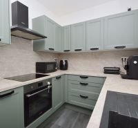 A kitchen in a family house with green cabinets and a marble countertop.