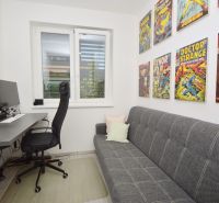 Interior of a family house with a work desk, couch, and comic motifs on the wall.