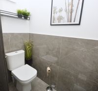 A toilet in a family house with a decorative painting and plants.