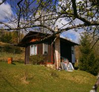 A wooden cottage in Krásno nad Kysucou surrounded by trees and grass on a slope.