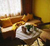 A cozy cabin interior with a sofa, a table with decorations, and a seagull by the window.