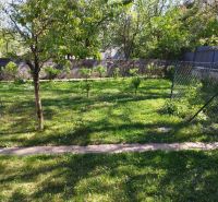 Garden at a family house on Komenského Street in Banská Bystrica with a lawn and trees.