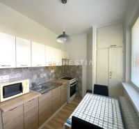 A kitchen with white cabinets and a wood-patterned floor in a two-room apartment.