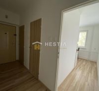 Entrance hallway in a 2-room apartment with a wooden decor floor.