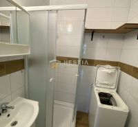 A bathroom in a 2-room apartment with a sink, shower, and washing machine.