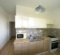 Kitchen in a 2-room apartment with a wooden decor floor and gray tiles.