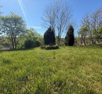 A garden at a family house in Čaradice with lush greenery and trees.