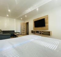 Living room in a two-room apartment with a dark sofa, TV, and wooden decor flooring.