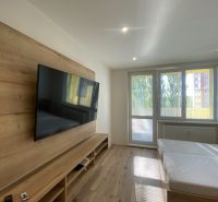 Bedroom in a 2-room apartment with a built-in TV and a floor with a wooden decor.