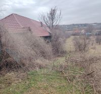 A plot in Dulovce with a house and dense vegetation, ideal for residential living.