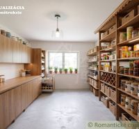 A pantry in a family house with shelves full of preserves and herbs on the windowsill.