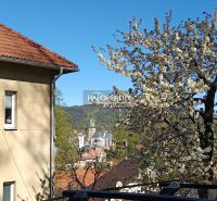 Flowering tree and view of the historic center of Kremnica, suitable for living in a 2-room apartment.