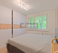 A bedroom in a two-room apartment with sliding wardrobes and a window overlooking greenery.