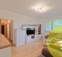 Living room in a two-room apartment with a wooden decor floor and a comfortable sofa.