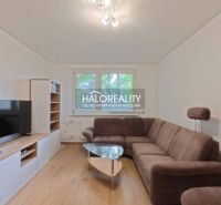 Living room with a brown sofa, television, and wooden decor flooring in a 2-room apartment.