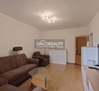 Living room of a two-room apartment with a brown sofa and a wooden decor floor.