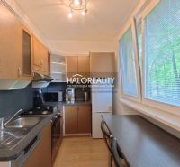 A kitchen in a 2-room apartment with a wooden decor and a large window overlooking greenery.