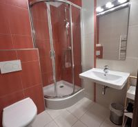 Bathroom with a shower, sink, and toilet in a 2-room apartment.