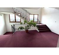 A staircase with a carpet and a plant in a 2-room apartment with large windows.