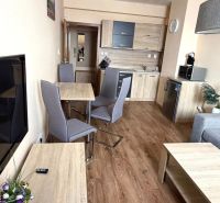 Living room of a two-room apartment with a kitchen, sofa, and wooden decor flooring.