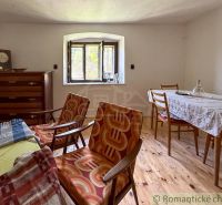 The interior of a cabin with retro furniture and a wooden decor floor.