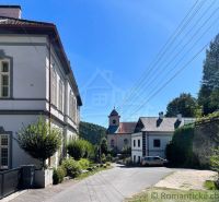 A peaceful street in Žarnovica with historic buildings and trees in sunny weather.