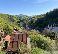 A view from the cottage in Žarnovica of the forests, roofs, and church in the valley.