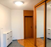 Entrance hall with a mirrored wardrobe and a floor with a wood decor in a 4-room apartment.