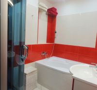 Bathroom with a bathtub and a shower in a 2-room apartment, red tiles.