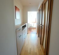 A hallway in a 2-room apartment with a wooden decor floor and white walls.