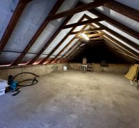 IMG_8260.jpg