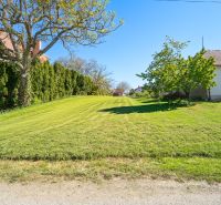 A spacious lawn with a house and trees on Nová Street in Viničné, residential plots.
