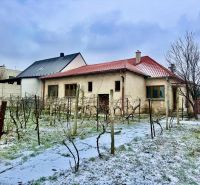 A family house in Dvorníky with a vineyard, partially covered with light snow.