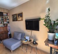 Living room of a two-room apartment with a wooden decor floor, a bookshelf, a piano, and plants.