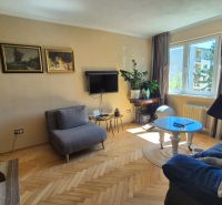 Living room in a 2-room apartment with a wooden decor floor, a sofa, and a television.