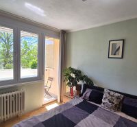 A bedroom in a two-room apartment with access to a balcony and a houseplant.