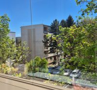 View from the glazed loggia of trees and apartment buildings on Kuzmányho in Topoľčany.