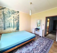 A bedroom in a 3-room apartment with a forest wallpaper and a wooden decor floor.