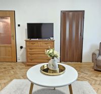 Living room in a 2-room apartment with a television, an armchair, and a table on a wooden decor floor.