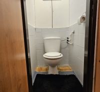 A toilet with tiles and carpet in a 2-room apartment.