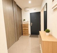 A hallway in a 3-room apartment with a wooden decor floor and simple furnishings.