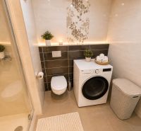 Bathroom in a 3-room apartment with a washing machine, shower corner, and wall decor.