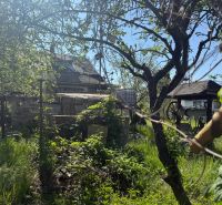 A cottage in Malacky surrounded by greenery and trees, with a car in the background.