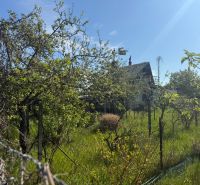A cottage in Malacky surrounded by greenery and fruit trees behind the fence.