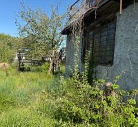 A cottage in Malacky surrounded by lush greenery and trees, clear sky.